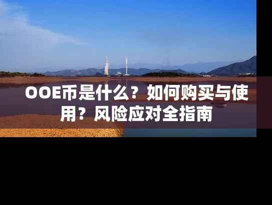 OOE币是什么？如何购买与使用？风险应对全指南