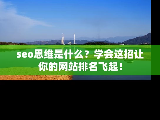 seo思维是什么？学会这招让你的网站排名飞起！