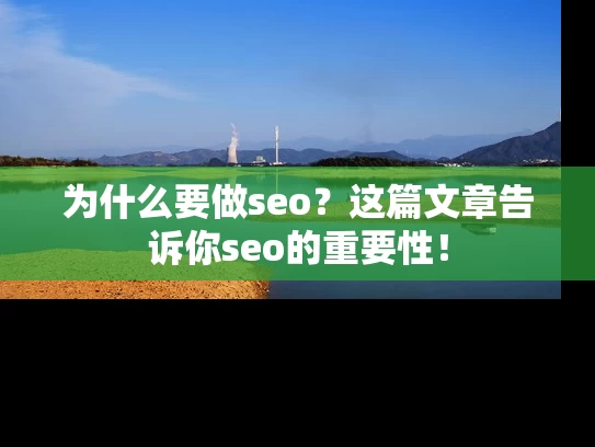 为什么要做seo？这篇文章告诉你seo的重要性！