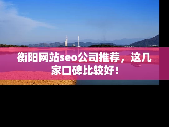 衡阳网站seo公司推荐，这几家口碑比较好！