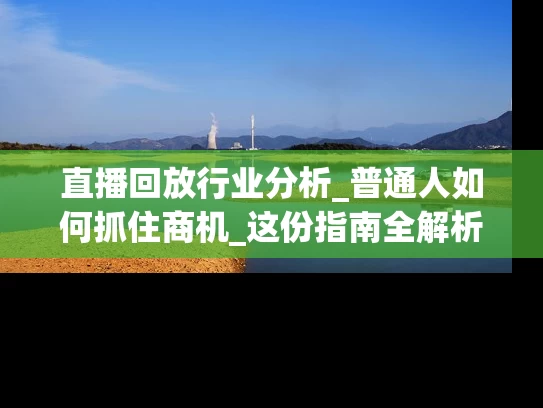 直播回放行业分析_普通人如何抓住商机_这份指南全解析