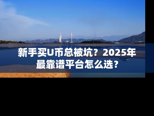 新手买U币总被坑？2025年最靠谱平台怎么选？