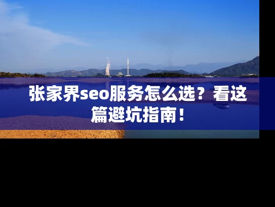 张家界seo服务怎么选？看这篇避坑指南！