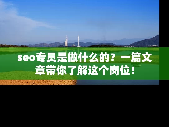 seo专员是做什么的？一篇文章带你了解这个岗位！