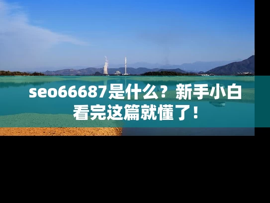seo66687是什么？新手小白看完这篇就懂了！