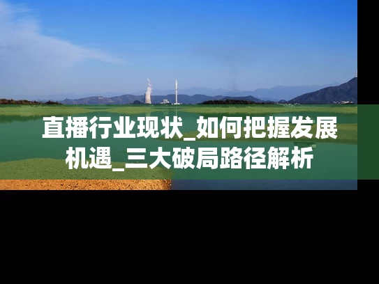 直播行业现状_如何把握发展机遇_三大破局路径解析