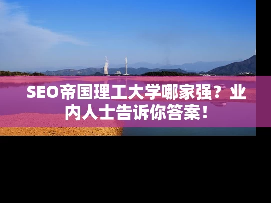 SEO帝国理工大学哪家强？业内人士告诉你答案！