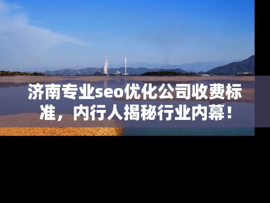 济南专业seo优化公司收费标准，内行人揭秘行业内幕！