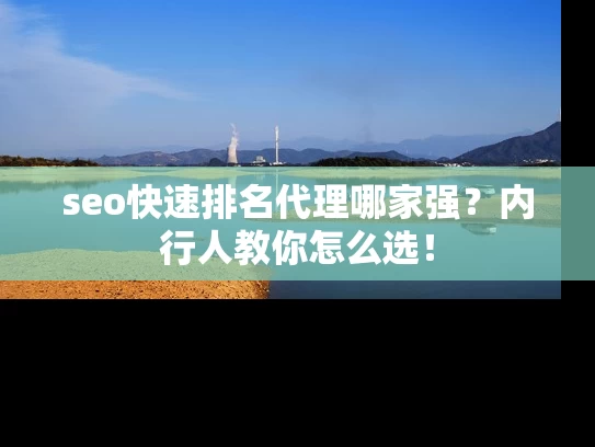 seo快速排名代理哪家强？内行人教你怎么选！