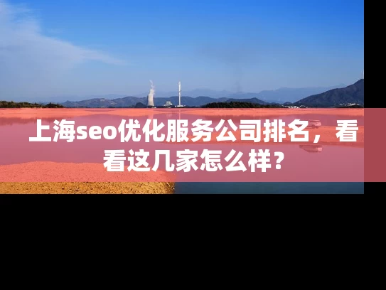 上海seo优化服务公司排名，看看这几家怎么样？