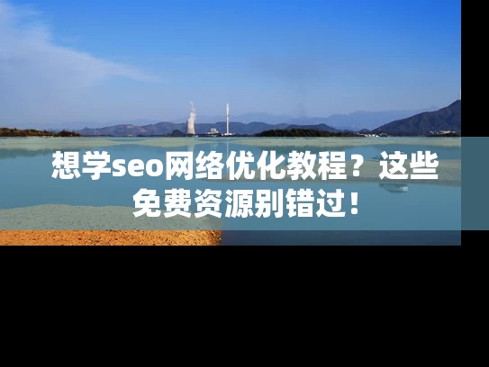 想学seo网络优化教程？这些免费资源别错过！