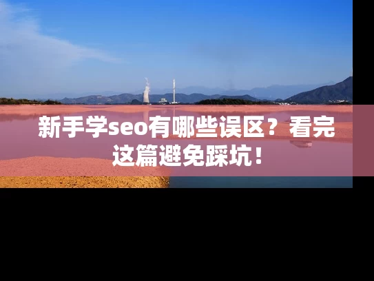 新手学seo有哪些误区？看完这篇避免踩坑！