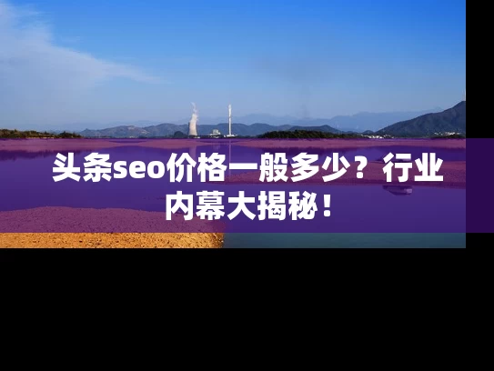 头条seo价格一般多少？行业内幕大揭秘！