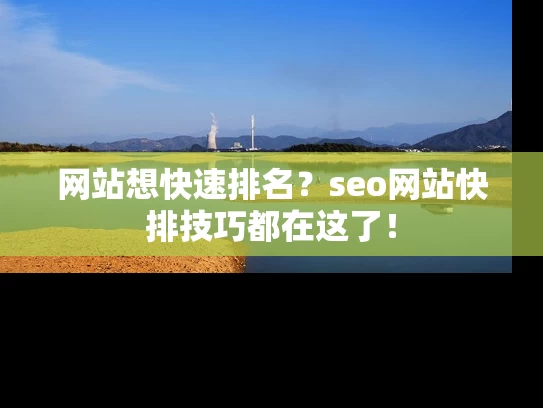 网站想快速排名？seo网站快排技巧都在这了！