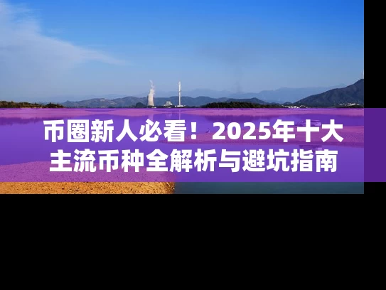币圈新人必看！2025年十大主流币种全解析与避坑指南
