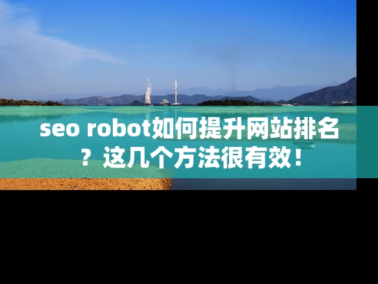 seo robot如何提升网站排名？这几个方法很有效！