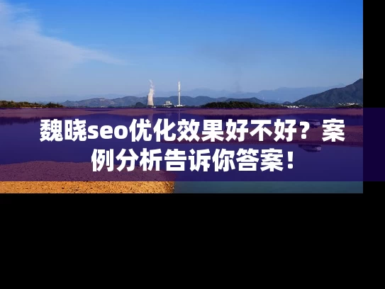魏晓seo优化效果好不好？案例分析告诉你答案！