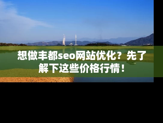 想做丰都seo网站优化？先了解下这些价格行情！