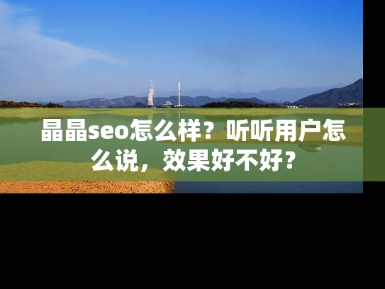 晶晶seo怎么样？听听用户怎么说，效果好不好？