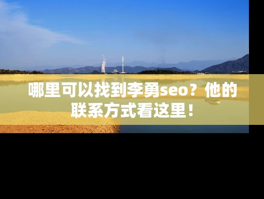 哪里可以找到李勇seo？他的联系方式看这里！