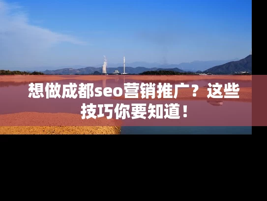 想做成都seo营销推广？这些技巧你要知道！