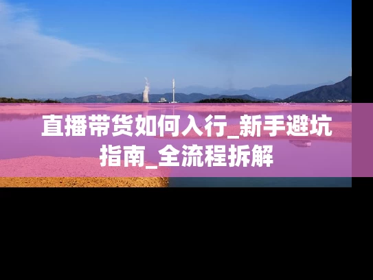 直播带货如何入行_新手避坑指南_全流程拆解