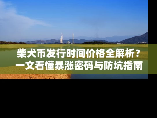 柴犬币发行时间价格全解析？一文看懂暴涨密码与防坑指南