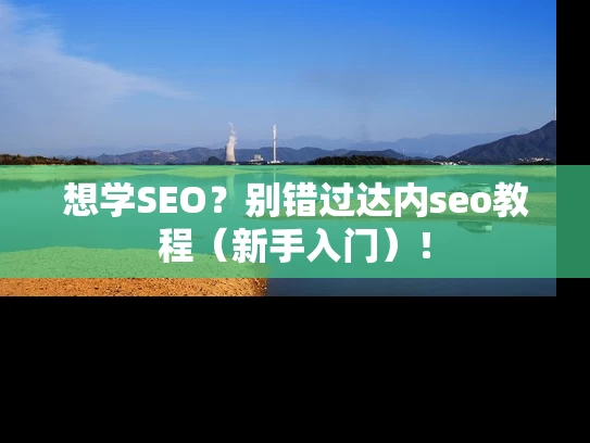 想学SEO？别错过达内seo教程（新手入门）！