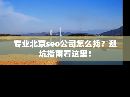 专业北京seo公司怎么找？避坑指南看这里！