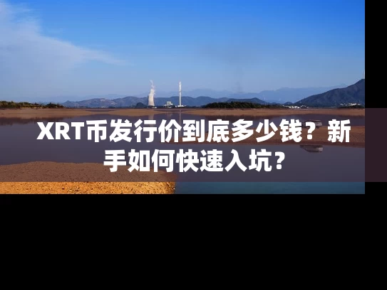 XRT币发行价到底多少钱？新手如何快速入坑？