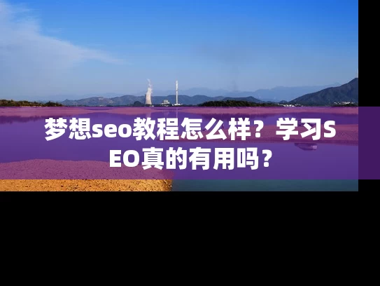 梦想seo教程怎么样？学习SEO真的有用吗？