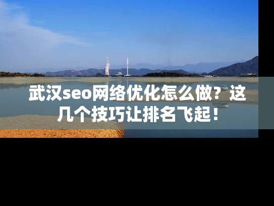 武汉seo网络优化怎么做？这几个技巧让排名飞起！