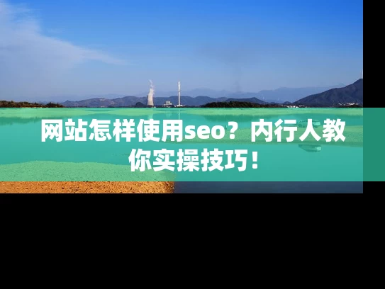 网站怎样使用seo？内行人教你实操技巧！