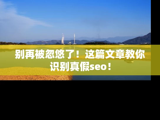别再被忽悠了！这篇文章教你识别真假seo！