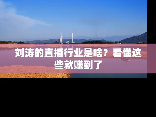 刘涛的直播行业是啥？看懂这些就赚到了