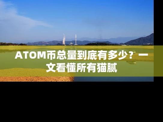ATOM币总量到底有多少？一文看懂所有猫腻