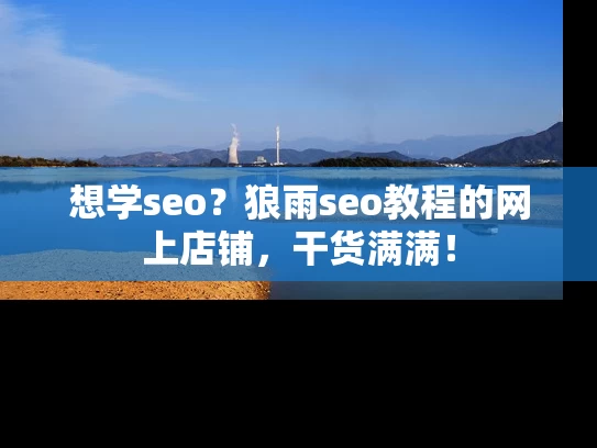 想学seo？狼雨seo教程的网上店铺，干货满满！