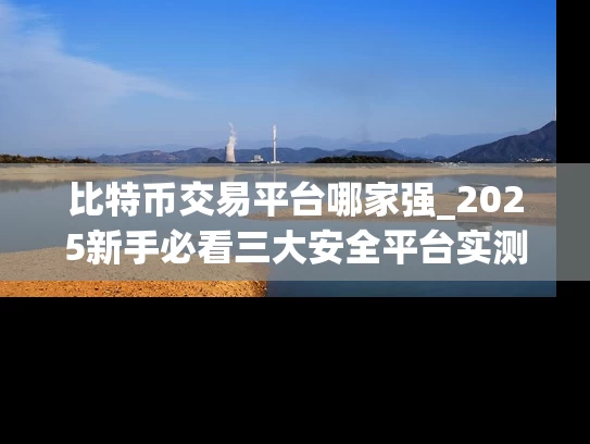 比特币交易平台哪家强_2025新手必看三大安全平台实测对比