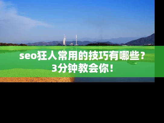 seo狂人常用的技巧有哪些？3分钟教会你！
