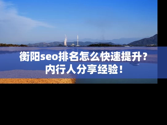 衡阳seo排名怎么快速提升？内行人分享经验！