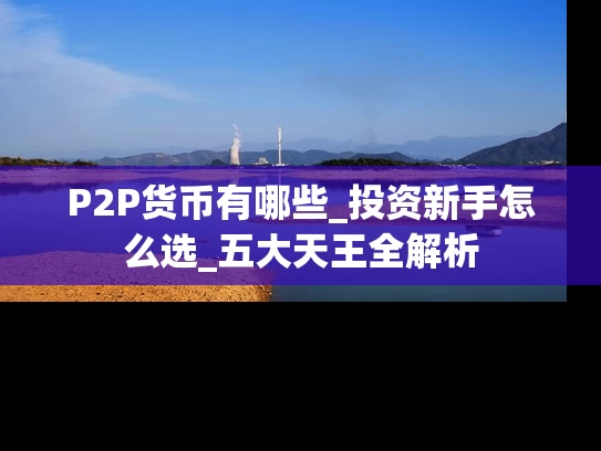 P2P货币有哪些_投资新手怎么选_五大天王全解析