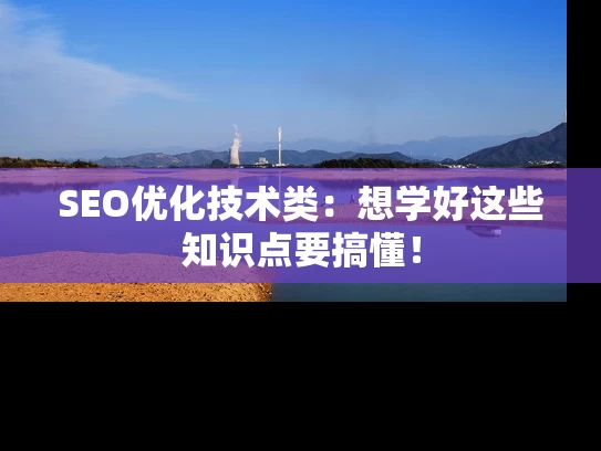 SEO优化技术类：想学好这些知识点要搞懂！