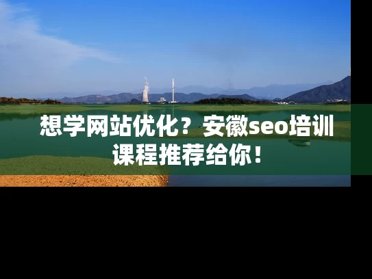 想学网站优化？安徽seo培训课程推荐给你！