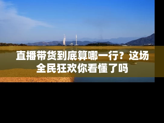 直播带货到底算哪一行？这场全民狂欢你看懂了吗