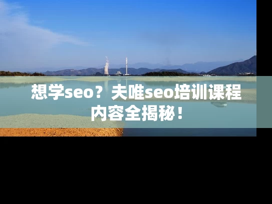 想学seo？夫唯seo培训课程内容全揭秘！