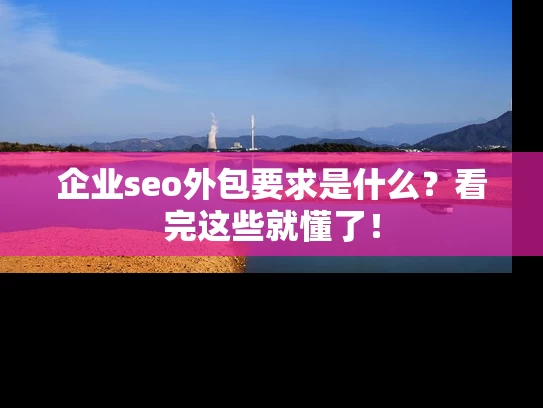 企业seo外包要求是什么？看完这些就懂了！