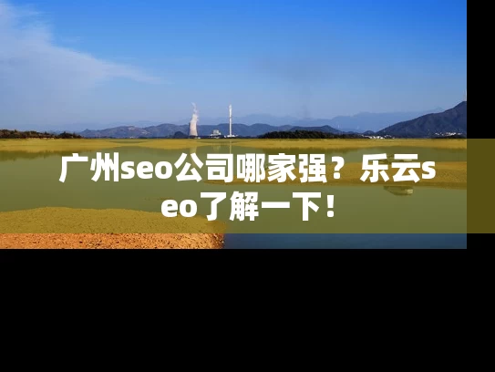 广州seo公司哪家强？乐云seo了解一下！