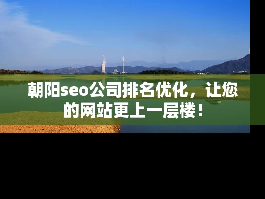 朝阳seo公司排名优化，让您的网站更上一层楼！