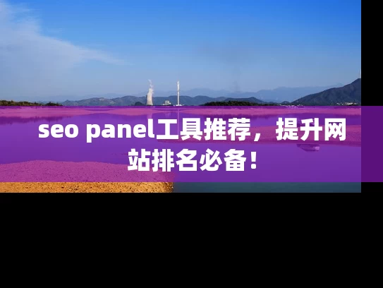 seo panel工具推荐，提升网站排名必备！