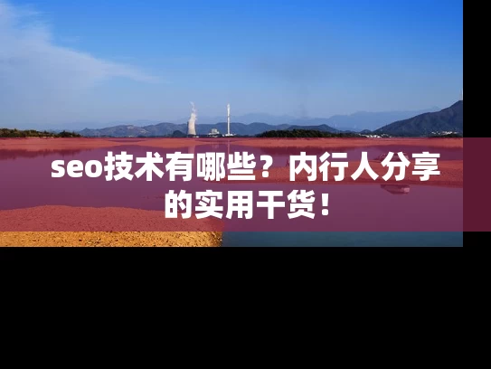 seo技术有哪些？内行人分享的实用干货！